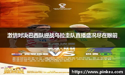 彩神VI首页