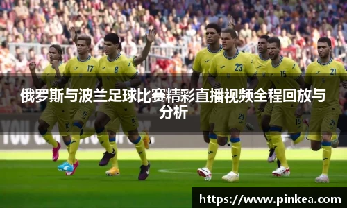 彩神VI首页