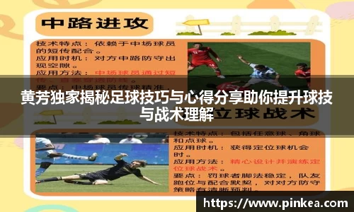 彩神VI首页