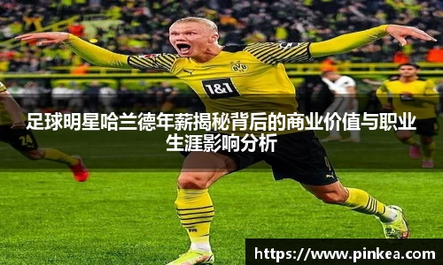 彩神VI首页官网