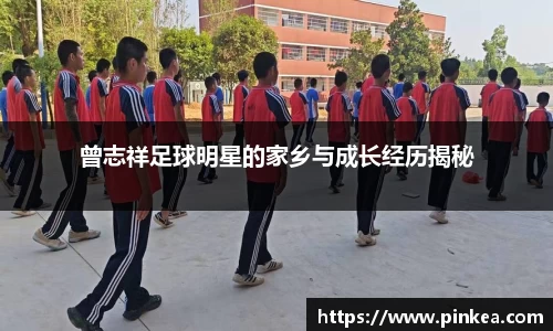 彩神VI首页官网